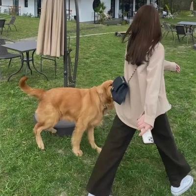 双面惊情