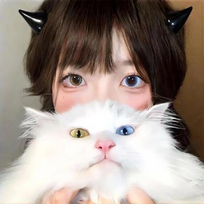 荒野独居第十季